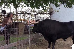 Sexo casero al lado de un toro real mara lopez